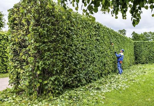 Horticultural Services