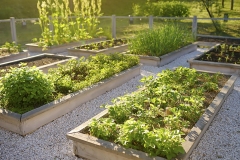 Rosenbeet im Garten - Bannerformat
